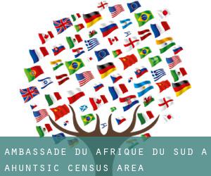 Ambassade du Afrique du Sud à Ahuntsic (census area)