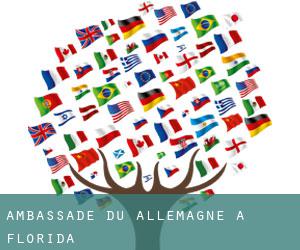 Ambassade du Allemagne à Florida