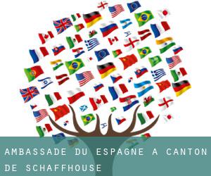 Ambassade du Espagne à Canton de Schaffhouse