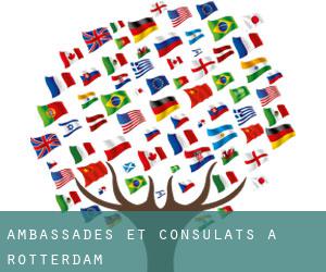 Ambassades et consulats à Rotterdam