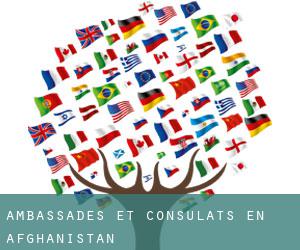 Ambassades et consulats en Afghanistan