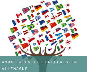 Ambassades et consulats en Allemagne