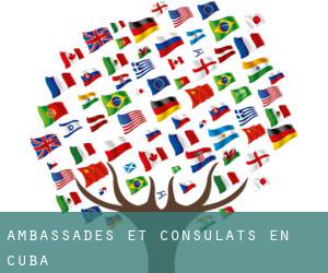 Ambassades et consulats en Cuba