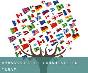 Ambassades et consulats en Israël