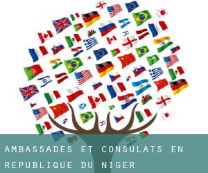 Ambassades et consulats en République du Niger